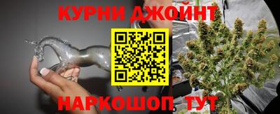 гашик Кунгур