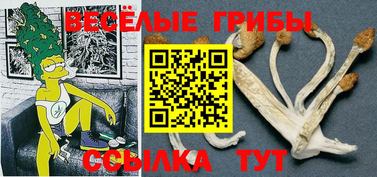 Галлюциногенные грибы GOLDEN TEACHER Калининград