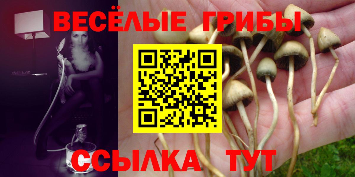 Галлюциногенные грибы прущие грибы  Вход с VPN  Калининград 