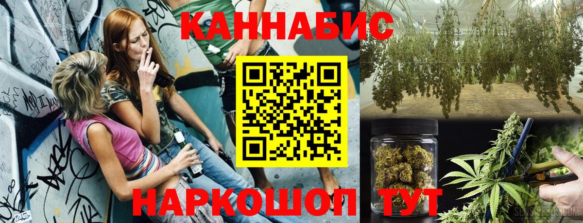 Калининград  Бошки марихуана тримм  Вход с VPN  Бошки Шишки гибрид  Бошки Шишки план 
